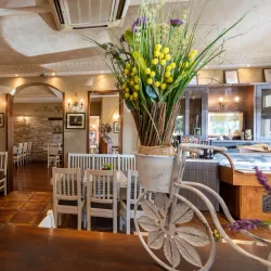 Local Seafood Restaurants - Neum