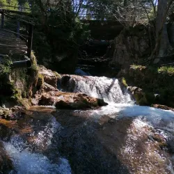 Pale Old Town - Pale