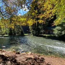 Vrelo Bosne (Spring of the Bosna River) - Pale