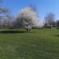 City Park Prijedor - Prijedor