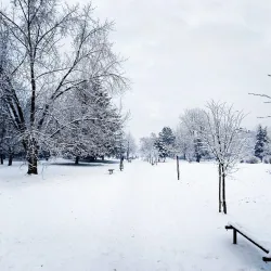 City Park Prijedor - Prijedor