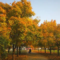 City Park Prijedor - Prijedor