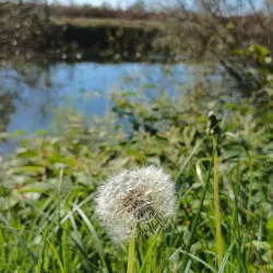 Stari Grad Prijedor (Old Town) - Prijedor