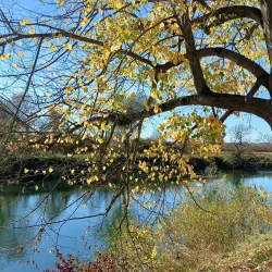 Stari Grad Prijedor (Old Town) - Prijedor