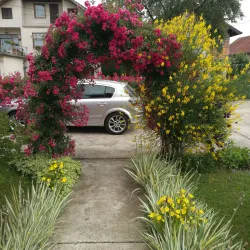 Memorial Complex Mrakovica - Sanski Most