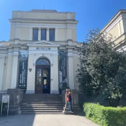 National Museum of Bosnia and Herzegovina - Sarajevo