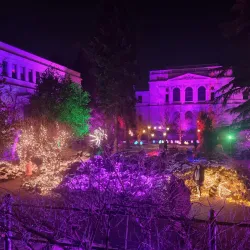 National Museum of Bosnia and Herzegovina - Sarajevo