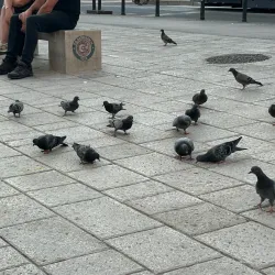 Sebilj Fountain - Sarajevo