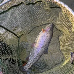 Fishing Spots along the Sava River - Srbac