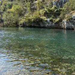 Fishing Spots along the Sava River - Srbac