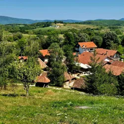 Local Ethnographic Museum - Srbac