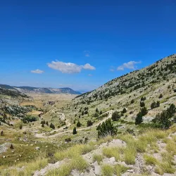 Natural Reserve Obodina - Srbac