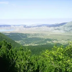 Natural Reserve Obodina - Srbac