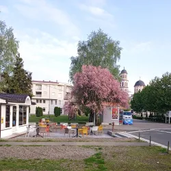 Old Town Srbac - Srbac