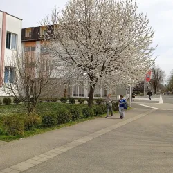 Old Town Srbac - Srbac