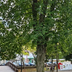 Tesanj Park - Tesanj (Tešanj)