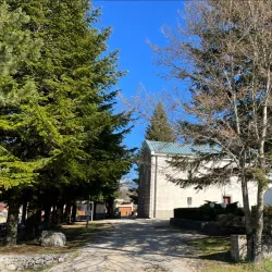 Church of the Assumption of the Blessed Virgin Mary - Travnik