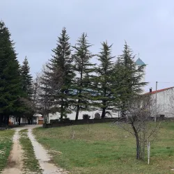 Church of the Assumption of the Blessed Virgin Mary - Travnik