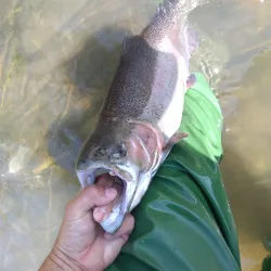 Lašva River - Travnik
