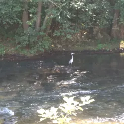 Lašva River - Travnik
