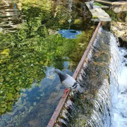 Plava Voda (Blue Water) - Travnik