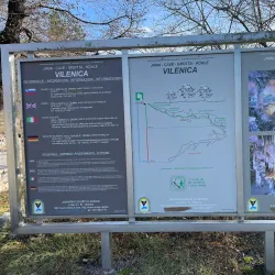 Vilenica Cave - Travnik