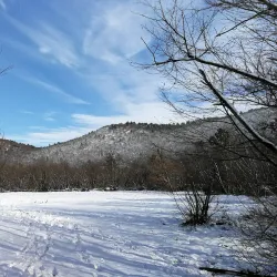 Vilenica Cave - Travnik