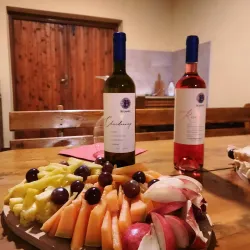 Hercegovacka Vinarija (Herzegovina Winery) - Trebinje