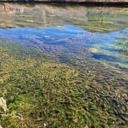 Trebišnjica River - Trebinje