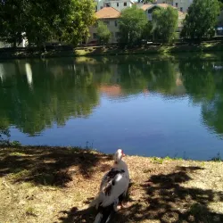 Trebišnjica River - Trebinje