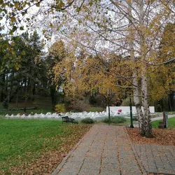 Slana Banja (Salt Spa) - Tuzla