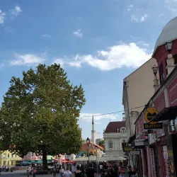 Tuzla Old Town (Stari Grad) - Tuzla