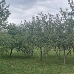 Bosnian Pyramid of the Moon - Visoko