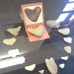 Visoko Old Town Museum - Visoko