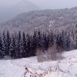 Nearby Village of Busovača - Vitez