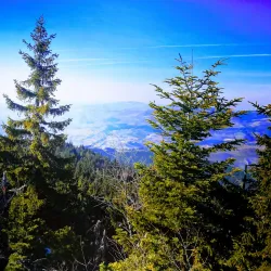 Surrounding Hills and Hiking Trails - Vitez