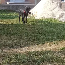 Vogosca City Park - Vogosca