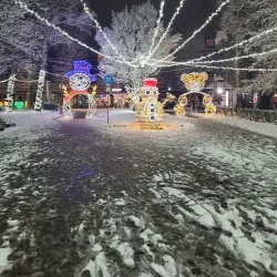 Vogosca Cultural Center - Vogosca