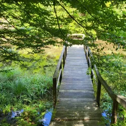 Hiking Trails around Zavidovići - Zavidovici