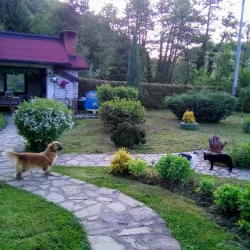 Krivaja River - Zavidovici