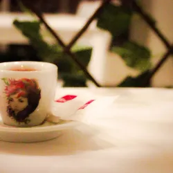 Local Cafes and Restaurants - Zavidovici