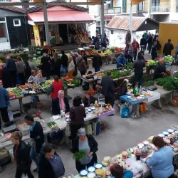 Local Market - Zavidovici