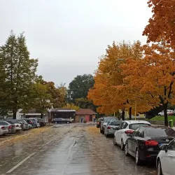 Local Market - Zavidovici