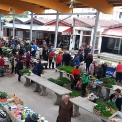 Local Market - Zavidovici