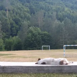 Nearby Natural Reserves and Forests - Zavidovici