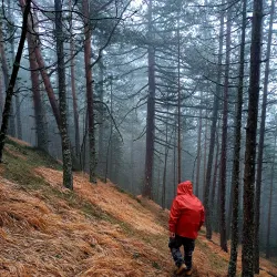 Nearby Natural Reserves and Forests - Zavidovici