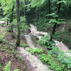 Zavidovići City Park - Zavidovici