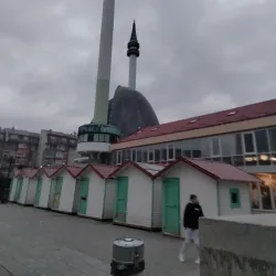Local Mosque of Zivinice - Zivinice
