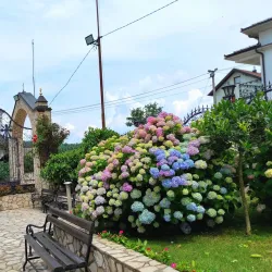 Majevica Mountain - Zivinice