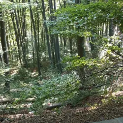 Majevica Mountain - Zivinice